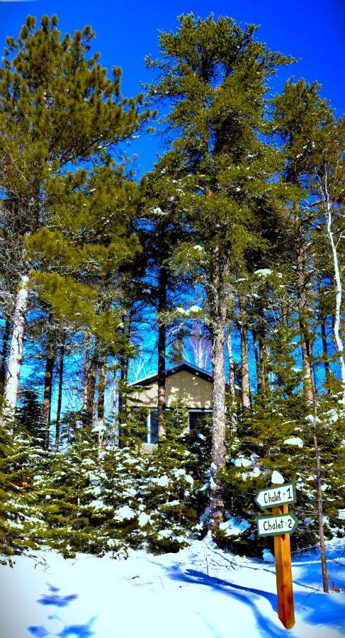 Parc Héritage - Chalet #1 Les Éboulements Extérieur photo